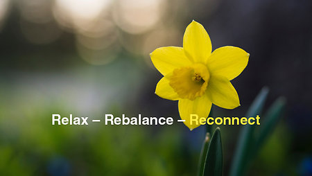 FAQ's. daffodil